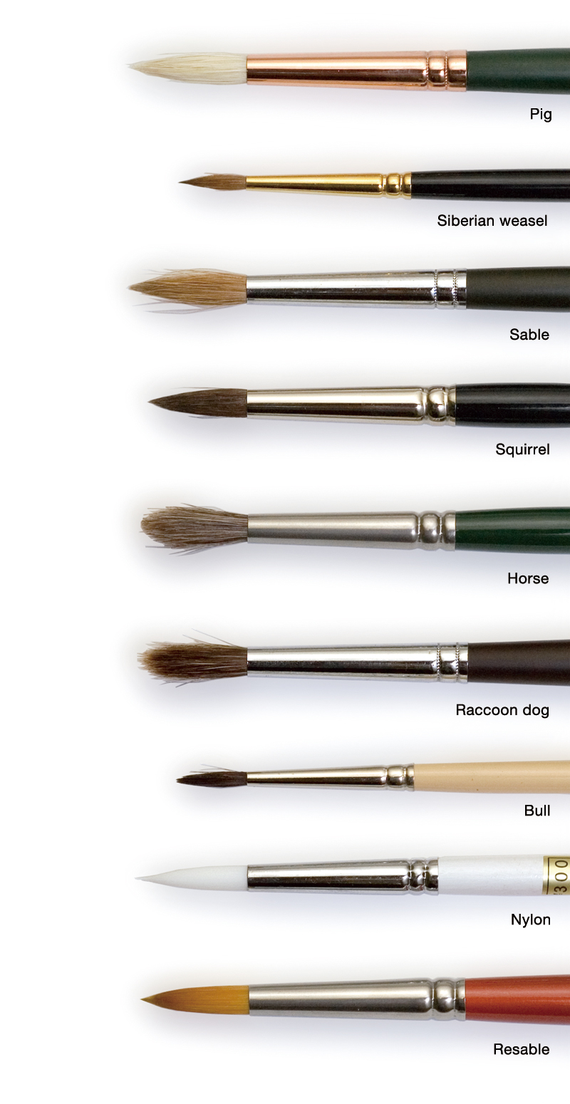 Oil Painting Brushes: Types and Uses