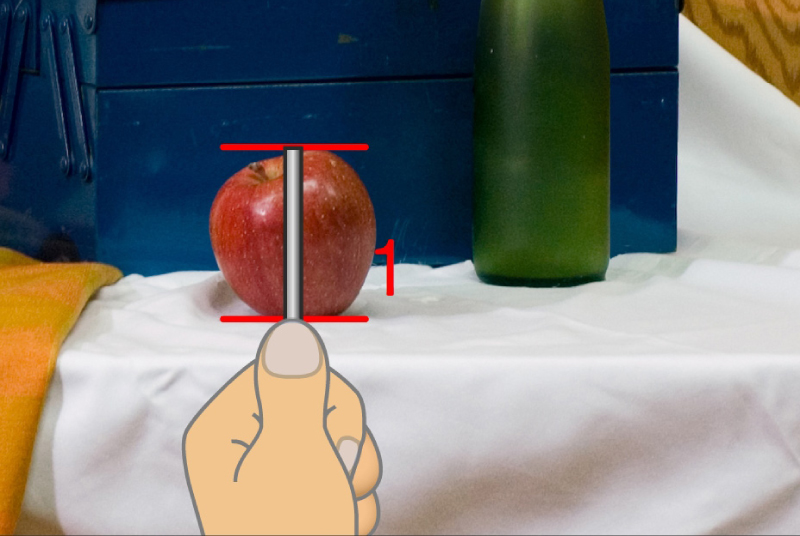Align the tip of your measuring stick with the top of the apple
and then move the tip of your thumb up the measuring stick to align it with the bottom of the apple
The distance between the tip of the measuring stick and the tip of your thumb is the 
