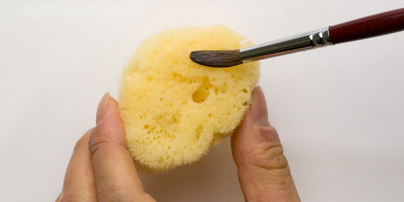 Adjusting the moisture content of a brush tip