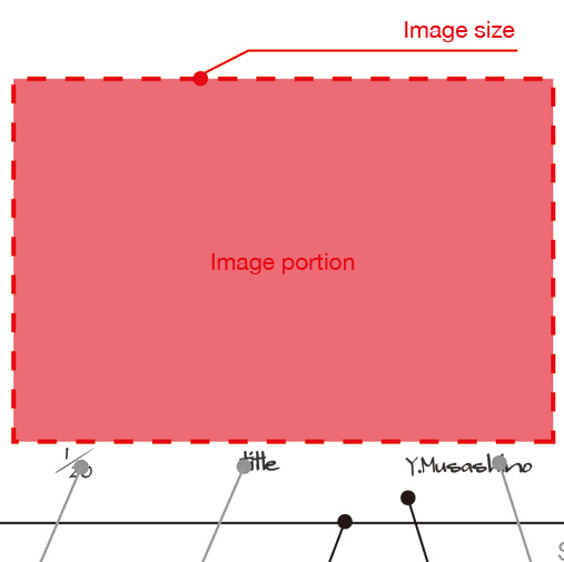 Image Size